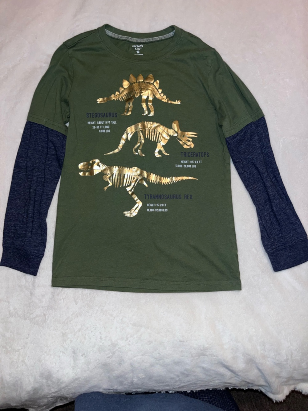 Green Boys' Long Sleeve Dinosaur Graphic Shirt